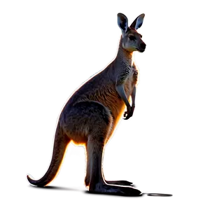 Kangaroo Tail PNG Vnb