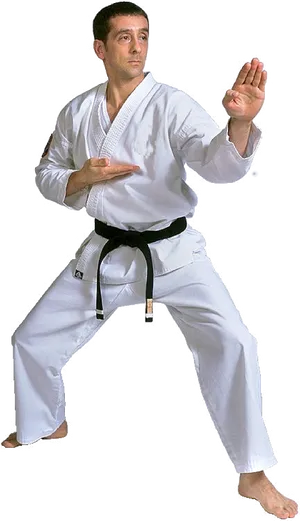 Karate Black Belt Stance PNG image