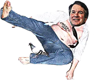 Karate Kick Pigeon Meme PNG image