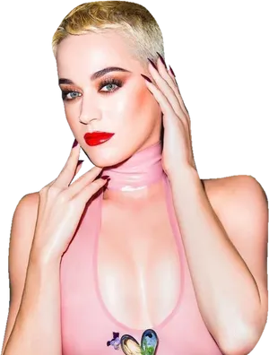 Katy Perry Bold Makeup Look PNG