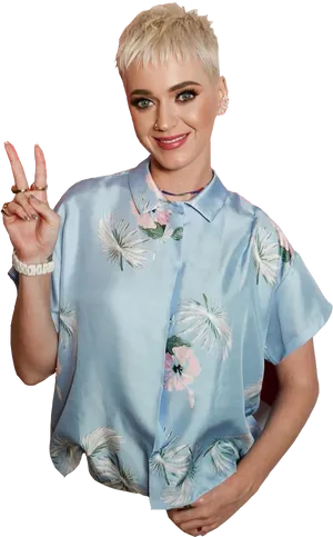 Katy Perry Peace Sign Pose PNG image