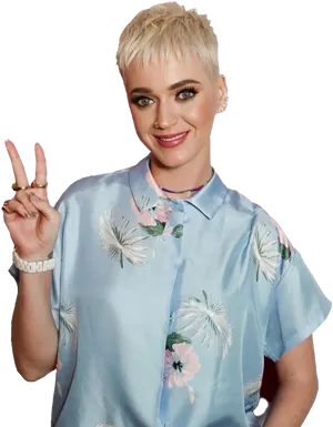 Katy Perry Peace Sign PNG
