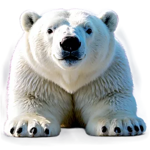 Kawaii Polar Bear PNG 57