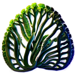 Kelp Forest Seaweed PNG 77
