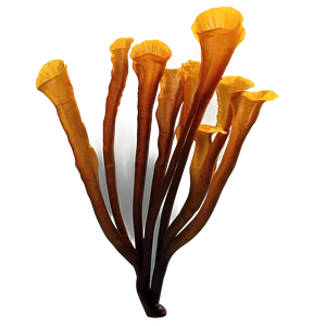 Kelp Forest Seaweed PNG Hlq