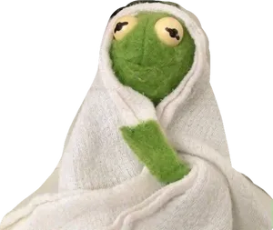 Kermit Wrappedin Blanket PNG image