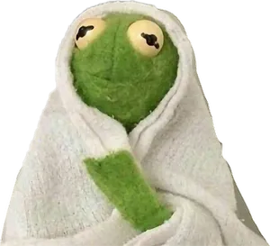 Kermit Wrappedin Towel PNG image