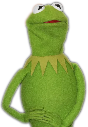 Kermitthe Frog Portrait PNG image