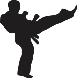 Kickboxer Silhouette High Kick PNG image