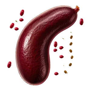 Kidney Beans Png Bph5 PNG image