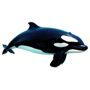 Killer Whale PNG Aic