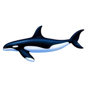 Killer Whale PNG Fnn