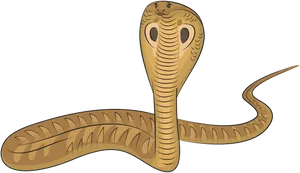 King Cobra Illustration PNG image