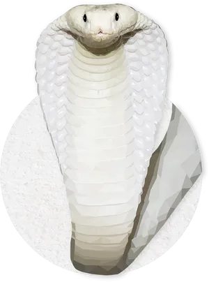 King Cobra Illustration PNG image