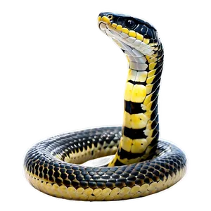 King Cobra Snake Png 05032024 PNG image