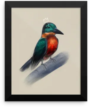 Kingfisherwith Crown Artwork PNG image