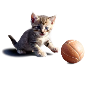 Kitten At Play PNG 05232024 PNG