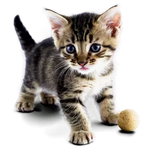 Kitten At Play PNG Ugy PNG