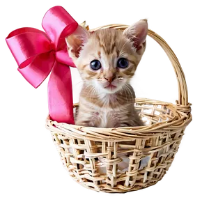 Kitten In Basket PNG 05232024