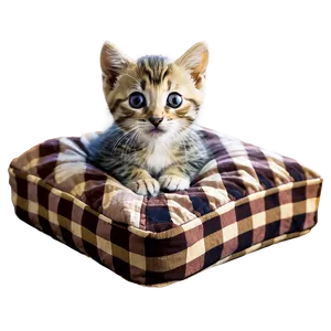 Kitten In Bed PNG Esb99 PNG