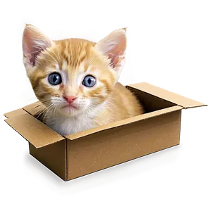 Kitten In Box PNG 26 PNG