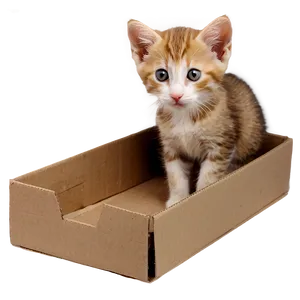 Kitten In Box PNG Dtm82 PNG