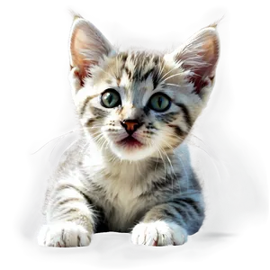 Kitten In Grass PNG 05232024