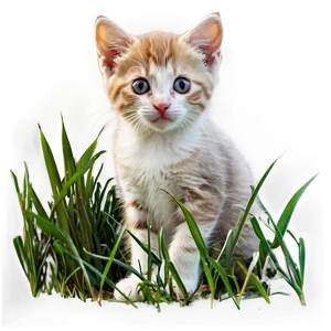 Kitten In Grass PNG 48
