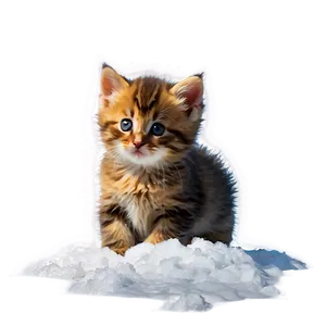 Kitten In The Snow PNG 05232024