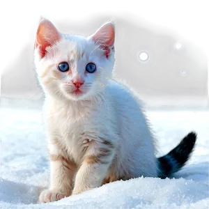Kitten In The Snow PNG Ryp PNG
