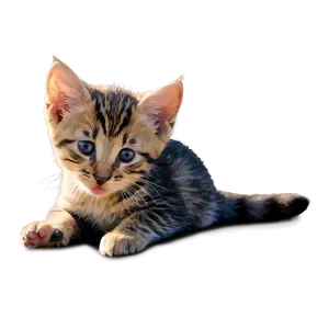 Kitten Licking Paw PNG 05232024