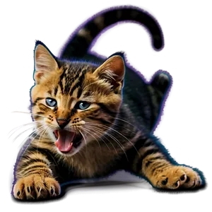 Kitten Licking Paw PNG Ejq