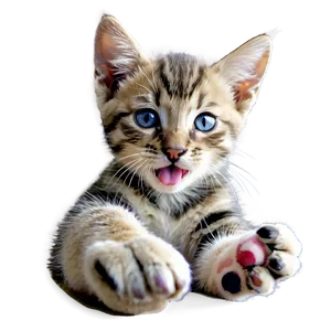 Kitten Licking Paw PNG Vwf1