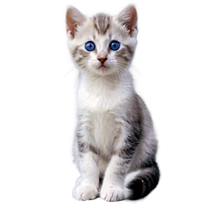 Kitten With Blue Eyes PNG 05232024
