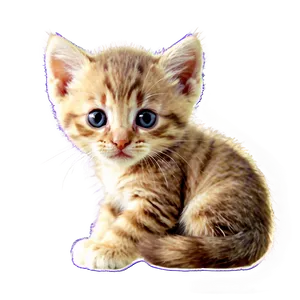 Kitten With Flowers PNG Bpc12