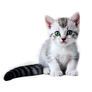 Kitten With Green Eyes PNG 98