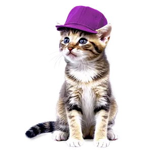 Kitten With Hat PNG 18 PNG