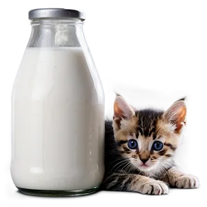 Kitten With Milk PNG 65