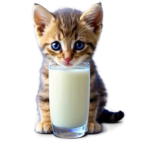 Kitten With Milk PNG Khi PNG