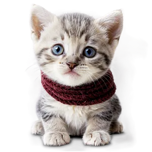 Kitten With Scarf PNG 05232024 PNG