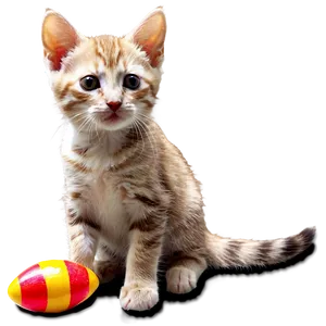 Kitten With Toys PNG 31 PNG
