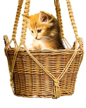 Kittenin Wicker Basket