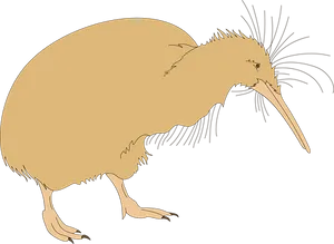 Kiwi Bird Silhouette PNG image
