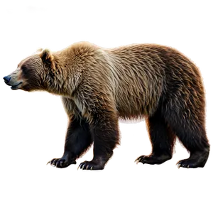 Kodiak Bear Alaska Png 05242024 PNG image