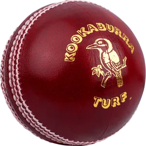 Kookaburra Cricket Ball PNG image