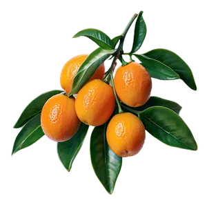 Kumquat Cluster Png Lki PNG image