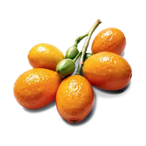 Kumquat Cluster PNG Srm