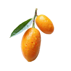 Kumquat D