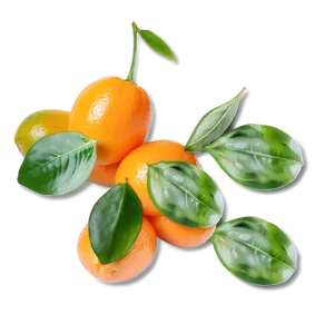 Kumquat Delight PNG 62 PNG