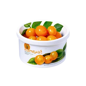 Kumquat Preserve PNG Sia93